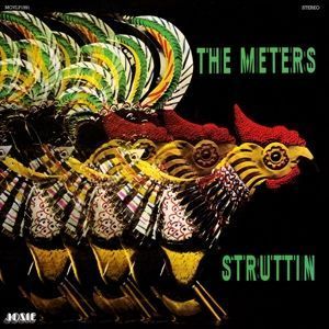 Вінілова платівка Meters - Struttin' 1LP (8719262004900) 8719262004900 фото