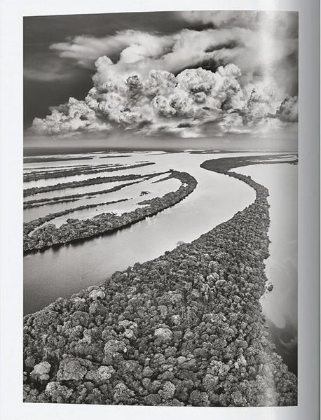 Книга Sebastiao Salgado. Amazonia. 45th Ed. (9783754403419) 9783754403419 фото