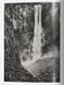 Книга Sebastiao Salgado. Amazonia. 45th Ed. (9783754403419) 9783754403419 фото 6