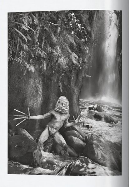 Книга Sebastiao Salgado. Genesis. 45th Ed. (9783754403358) 9783754403358 фото