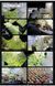 Книга BIG. Yes is More. An Archicomic on Architectural Evolution (9783836520102) 9783836520102 фото 8