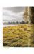 Книга Great Escapes Germany. The Hotel Book (9783754400678) 280106 фото 6