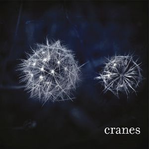 Вінілова платівка Cranes - Cranes 1LP (8719262040748) 8719262040748 фото