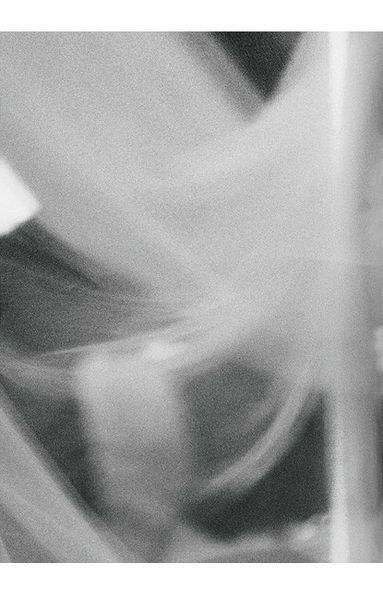 Книга Mario Testino. I Love You (9783836592017) 9783836592017 фото