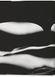 Книга Ralph Gibson. Nude (9783836568883) 9783836568883 фото 6