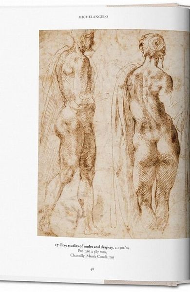 Книга Michelangelo. The Graphic Work (9783836537193) 62838 фото