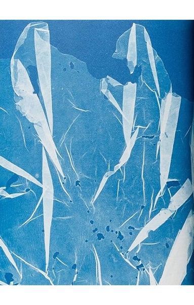 Книга Anna Atkins. Cyanotypes (9783836596039) 269384 фото