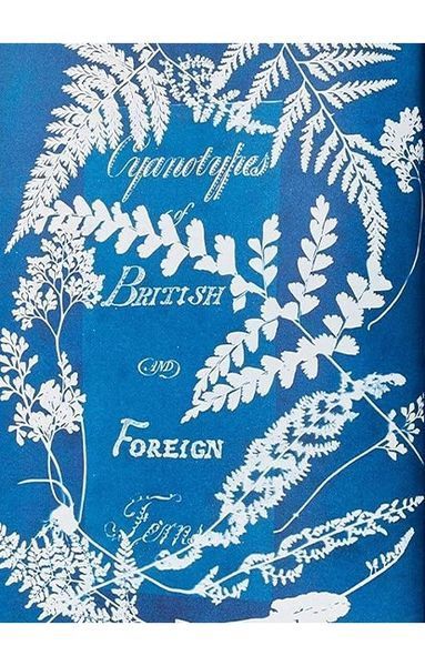Книга Anna Atkins. Cyanotypes (9783836596039) 269384 фото