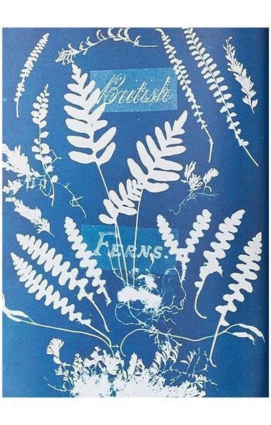 Книга Anna Atkins. Cyanotypes (9783836596039) 269384 фото