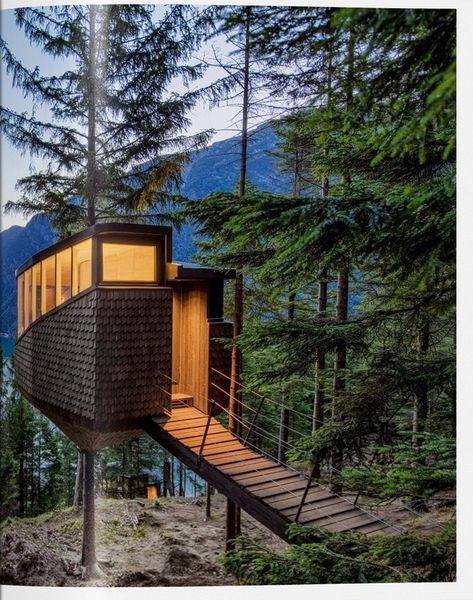Книга Modern Tree Houses (9783836596435) 9783836596435 фото