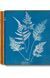 Книга Anna Atkins. Cyanotypes (9783836596039) 269384 фото 1