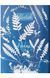 Книга Anna Atkins. Cyanotypes (9783836596039) 269384 фото 4