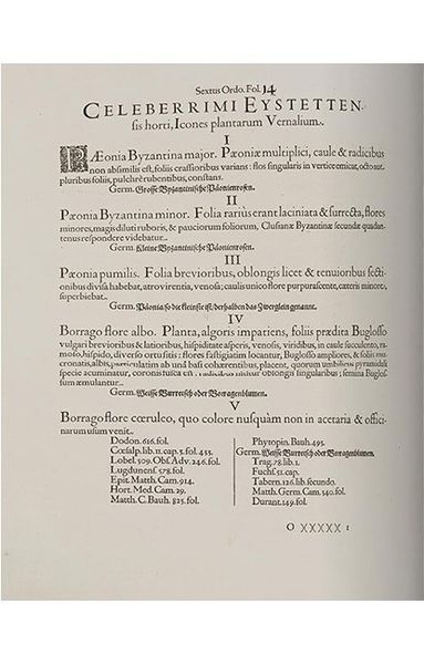 Книга Basilius Besler. The Garden at Eichstatt (в 3-х томах) (9783836547161) 279908 фото