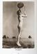 Книга 1000 Nudes. A History of Erotic Photography from 1839-1939 (9783836554466) 9783836554466 фото 10