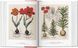 Книга A Garden Eden. Masterpieces Of Botanical Illustration. 40Th (9783836591911) 9783836591911 фото 3
