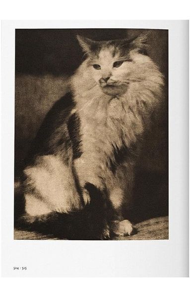 Книга Alfred Stieglitz. Camera Work (9783836544078) 9783836544078 фото
