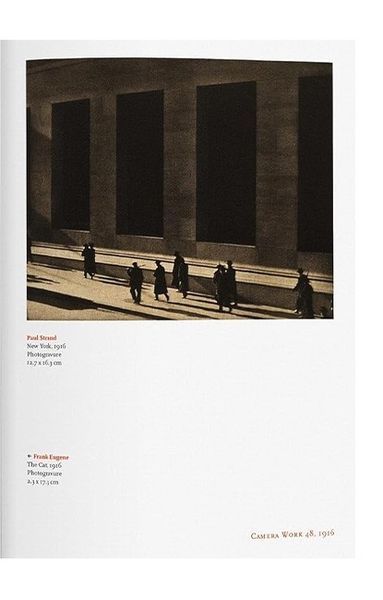 Книга Alfred Stieglitz. Camera Work (9783836544078) 9783836544078 фото
