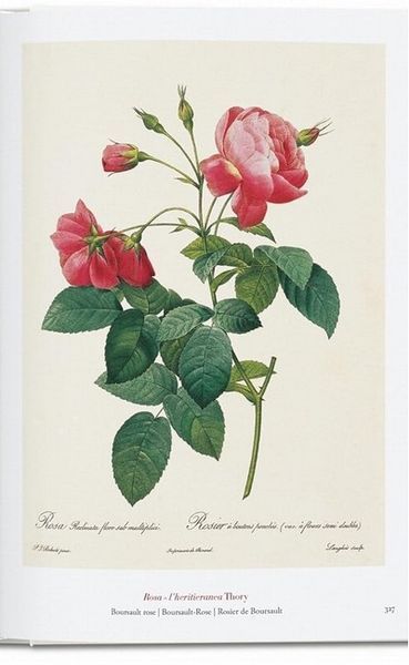 Книга Redout. The Book of Flowers. 45th Ed. (9783836556651) 9783836556651 фото