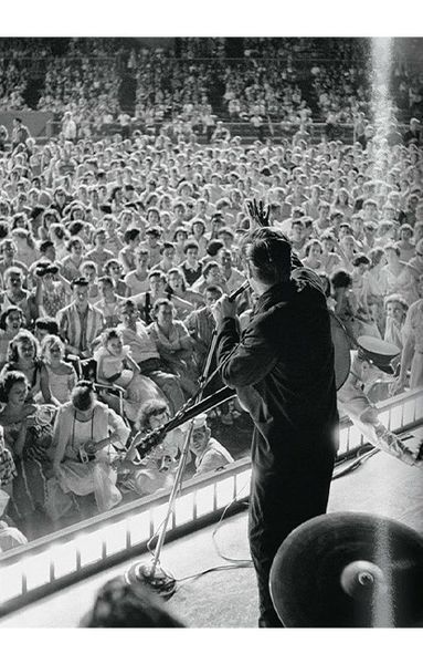 Книга Alfred Wertheimer. Elvis and the Birth of Rock and Roll (9783836583268) 9783836583268 фото
