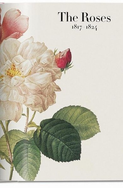 Книга Redout. The Book of Flowers. 45th Ed. (9783836556651) 9783836556651 фото