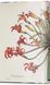 Книга Redout. The Book of Flowers. 45th Ed. (9783836556651) 9783836556651 фото 2