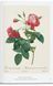 Книга Redout. The Book of Flowers. 45th Ed. (9783836556651) 9783836556651 фото 9