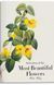 Книга Redout. The Book of Flowers. 45th Ed. (9783836556651) 9783836556651 фото 11