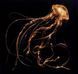 Вінілова платівка Royal Blood - Back To The Water Below (140 Gr Black) 1LP (5054197678714)