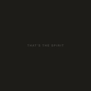 Вінілова платівка Bring Me the Horizon - That's the Spirit 2LP (0888751309012) 0888751309012 фото