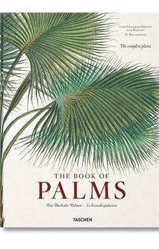 Книга Martius. The Book of Palms (9783836566148) 9783836566148 фото