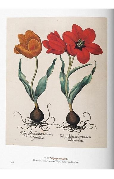 Книга A Garden Eden. Masterpieces of Botanical Illustration. 45th Ed. (9783836591911) 9783836591911 фото