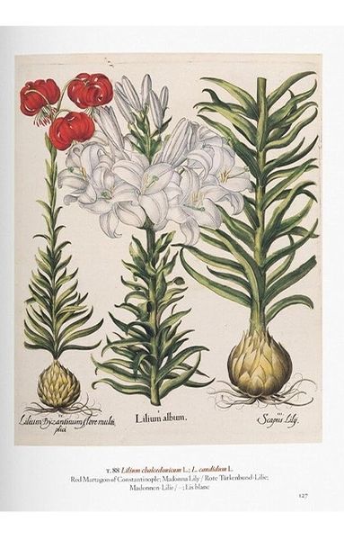 Книга A Garden Eden. Masterpieces of Botanical Illustration. 45th Ed. (9783836591911) 9783836591911 фото