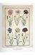 Книга A Garden Eden. Masterpieces of Botanical Illustration. 45th Ed. (9783836591911) 9783836591911 фото 7