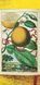 Книга J. C. Volkamer. The Book of Citrus Fruits (9783836535250) 275635 фото 8