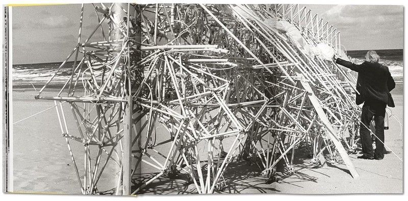 Книга Lena Herzog. Strandbeest. The Dream Machines of Theo Jansen (9783836548496) 9783836548496 фото