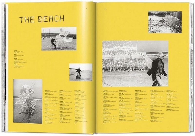 Книга Lena Herzog. Strandbeest. The Dream Machines of Theo Jansen (9783836548496) 9783836548496 фото