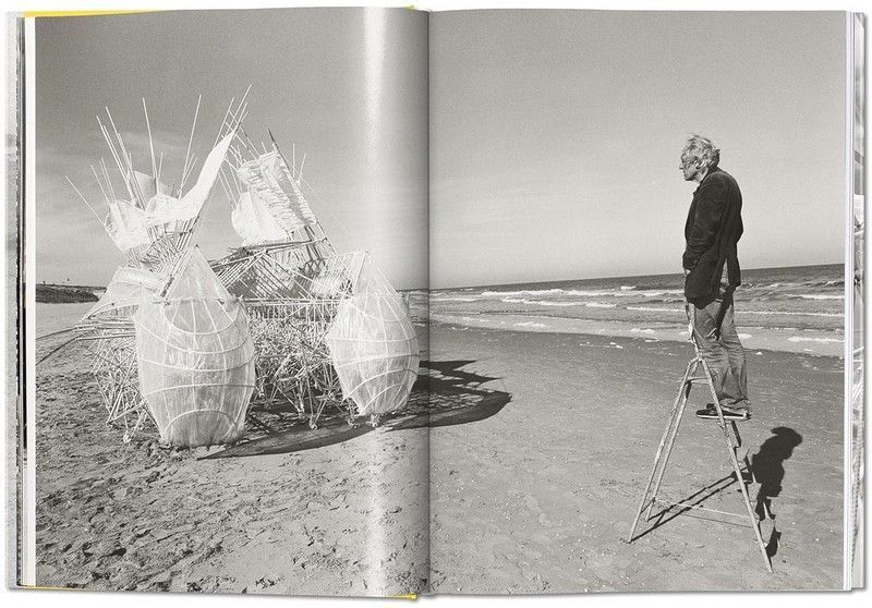 Книга Lena Herzog. Strandbeest. The Dream Machines of Theo Jansen (9783836548496) 9783836548496 фото