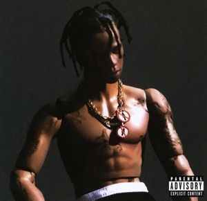 CD диск Scott, Travis - Rodeo 1CD (0888751467224) 0888751467224 фото