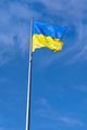 Українські релізи