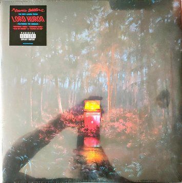 Вінілова платівка Lord Huron &ndash; The Cosmic Selector Vol. 1 2LP (602478177880) 602478177880 фото