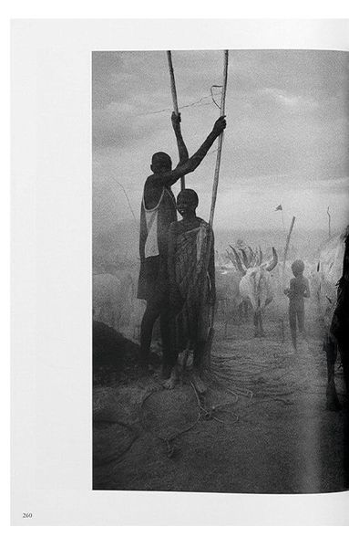 Книга Sebastiao Salgado. Genesis (9783836538725) 9783836538725 фото