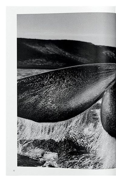 Книга Sebastiao Salgado. Genesis (9783836538725) 9783836538725 фото