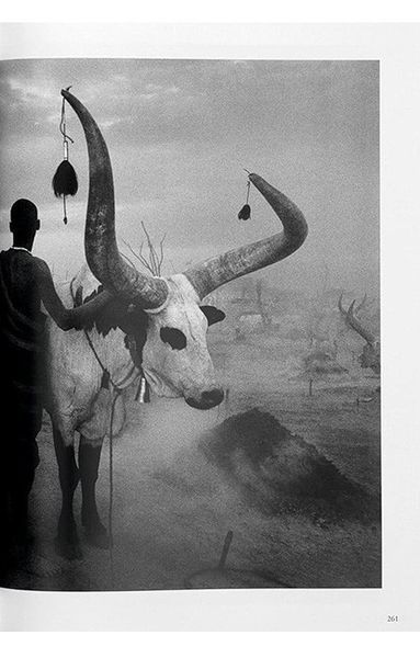 Книга Sebastiao Salgado. Genesis (9783836538725) 9783836538725 фото