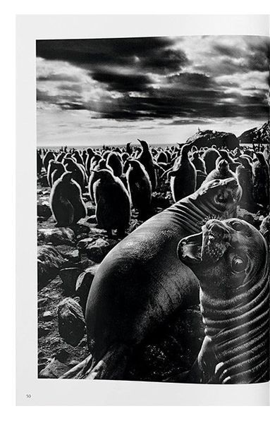 Книга Sebastiao Salgado. Genesis (9783836538725) 9783836538725 фото
