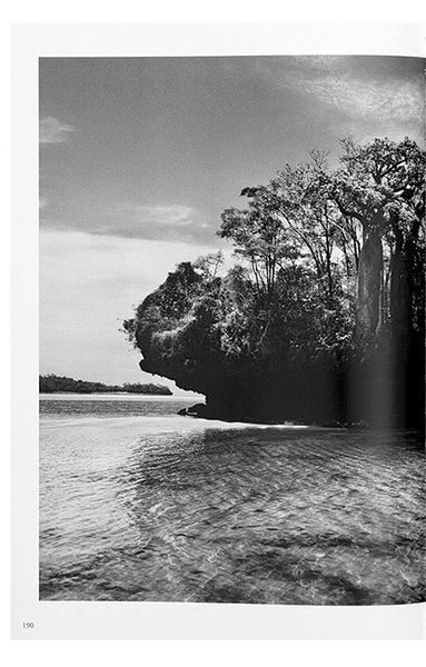 Книга Sebastiao Salgado. Genesis (9783836538725) 9783836538725 фото