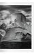 Книга Sebastiao Salgado. Genesis (9783836538725) 9783836538725 фото 3