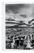 Книга Sebastiao Salgado. Genesis (9783836538725) 9783836538725 фото 8