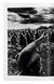 Книга Sebastiao Salgado. Genesis (9783836538725) 9783836538725 фото 6
