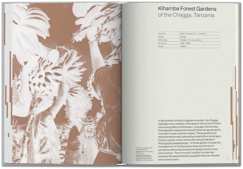 Книга Julia Watson. Lo-TEK. Design by Radical Indigenism (9783836578189) 9783836578189 фото