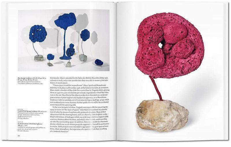 Книга Yves Klein (9783836553131) 62770 фото